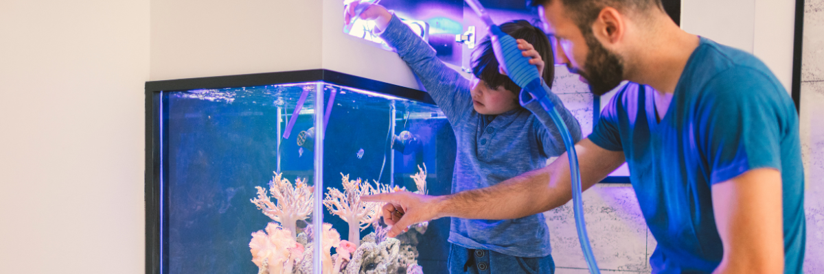 Why Water Changes Won’t Wipe Out Your Copepods: A Guide for Reef Hobbyists