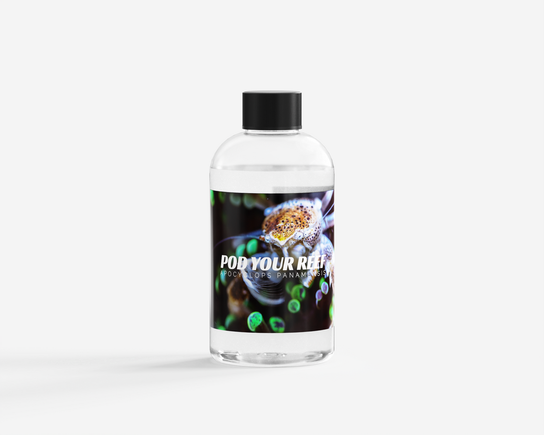 Bottle of Pod Your Reef Apocyclops Copepods highlighting the benefits for reef tanks