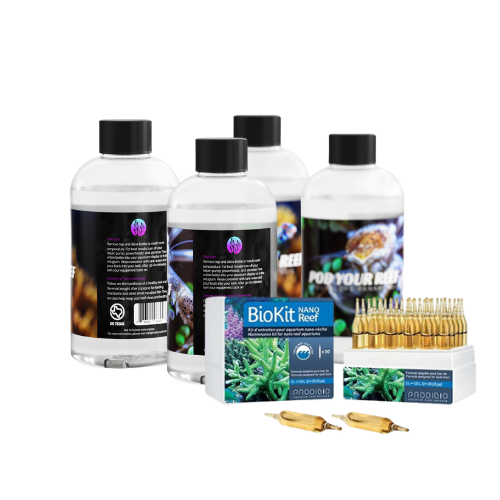 Reproducing Copepod + Prodibio Biokit Reef Nano Bundle  - 4 Bottle Bundle + Biokit Reef Nano