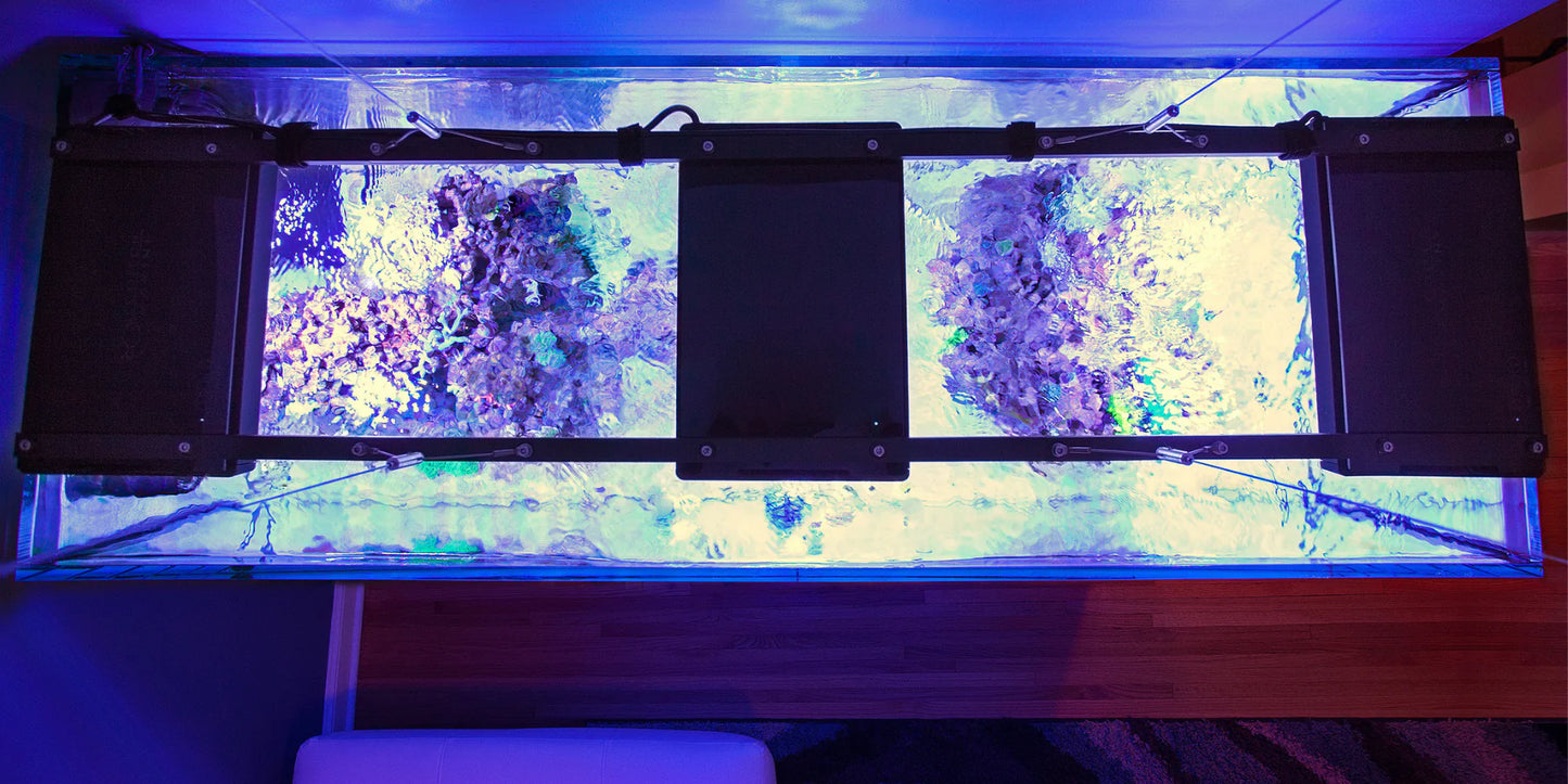 Top down view of Radion Lights Being Dialed in after using Pod Your Reef Par Meter
