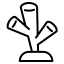 icon coral