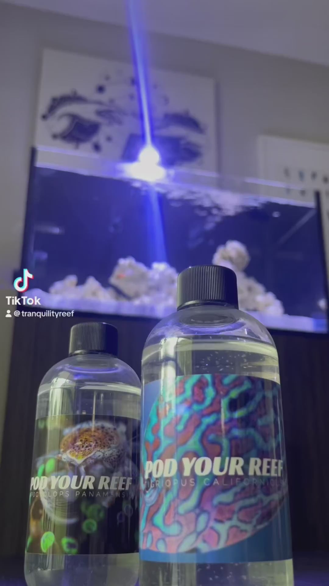 Pod Your Reef Tig Pods and Apo Pods from TikTok being adding to Tank from Tanquailityreef