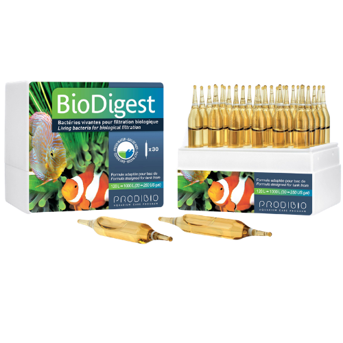 Product Image of Prodibio BioDigest packaging and vials