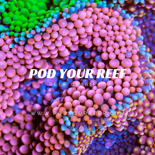 Pod Your Reef Product Label for Reef Clarify