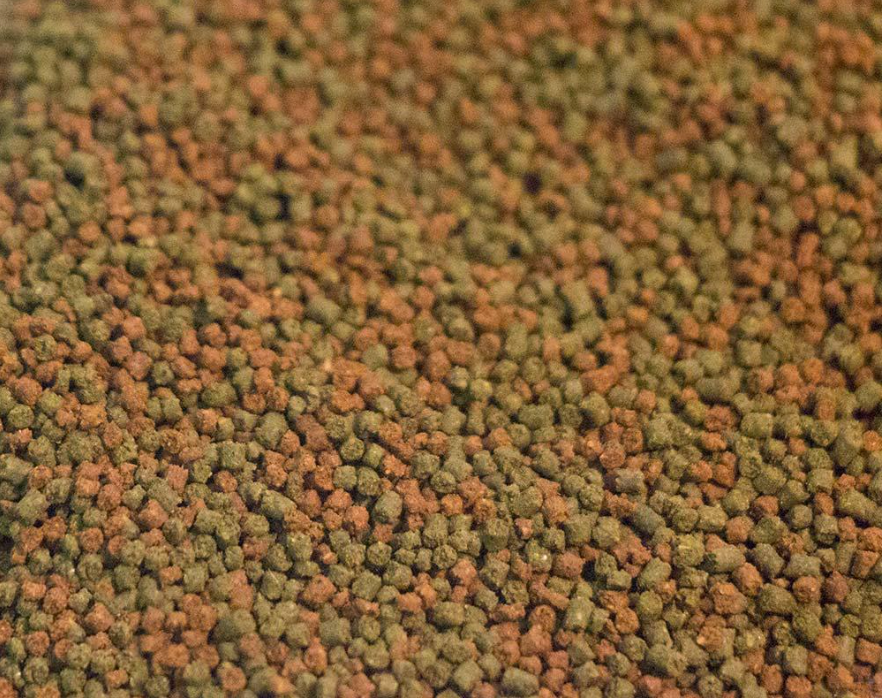 Product Image of Fish Pellets