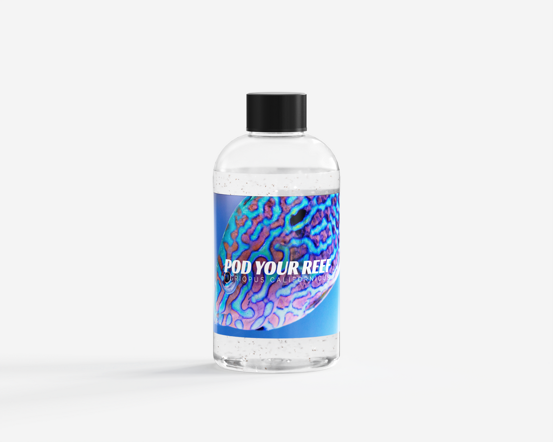 Product photo showing single bottle of Pod Your Reef Tigs