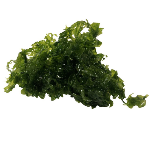 Product image of macro algae Ulva from Pod Your Reef