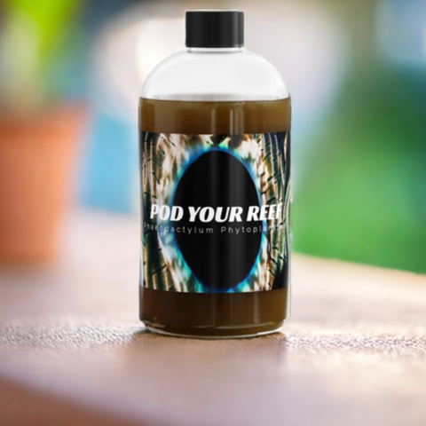 Pod Your Reef Phytoplankton Bottle for Reef Tanks, Copepods, and Culturing 