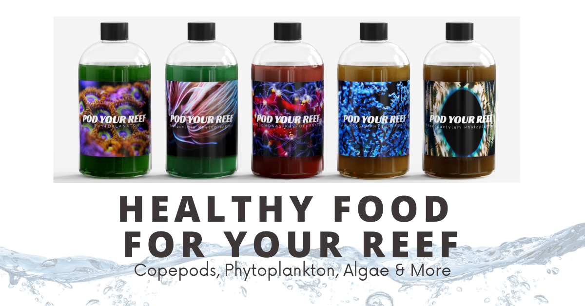 Reef Chemistry Calculator Free Ca Alk Mg Dosing Tool Pod Your Reef Reef chemistry calculator free ca alk mg dosing tool pod your reef