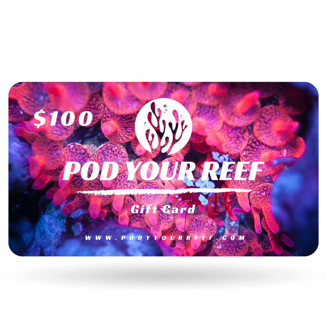 GIFT CARD | THE BEST GIFT FOR AQUARIST