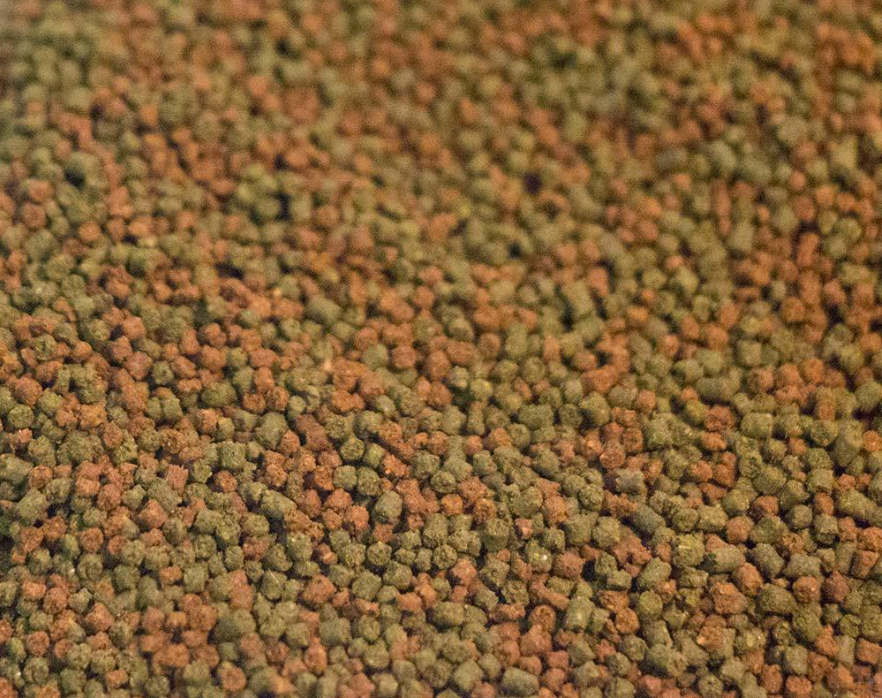 Coral Frenzy 0.5mm Coral and Fish Food Pellet